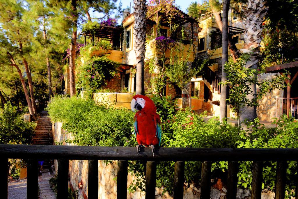 ซิมโบลา โอลูเดนิซ บีช โฮเต็ล Hotel โอลลุนเดนิซ ภายนอก รูปภาพ